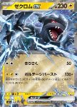 Zekrom ex 