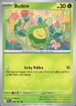Budew 
