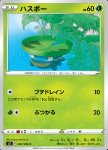 Lotad 