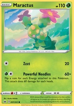 Maractus 