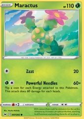 Maractus 