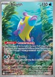 Bruxish 