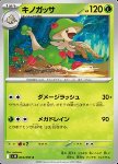 Breloom 