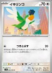 Squawkabilly 
