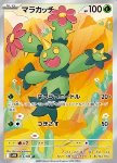 Maractus 