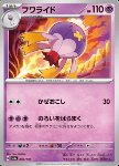 Drifblim 