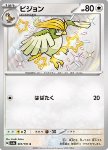 Pidgeotto 