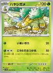 Grotle 
