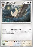 Noctowl 