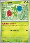 Roselia 