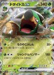 Torterra ex 