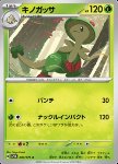 Breloom 