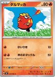 Darumaka 