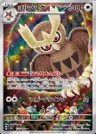 Noctowl 
