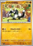 Passimian 