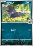 Zorua di N