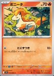 Ponyta 