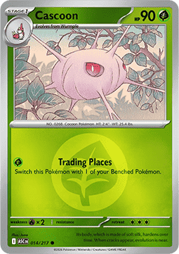 Cascoon (Energy Reverse)
