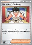 Black Belt's Training (Poké Ball Reverse)