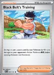 Black Belt's Training (Poké Ball Reverse)