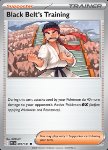 Black Belt's Training (Poké Ball Reverse)