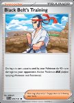 Black Belt's Training (Poké Ball Reverse)