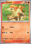 Ponyta 