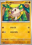Mankey 