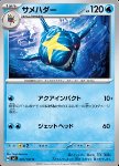 Sharpedo 