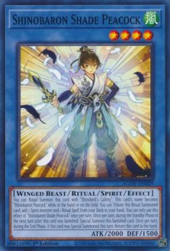 /prodotti/singles/ygo/agov/shinobaron-shade-peacock_738409.jpg