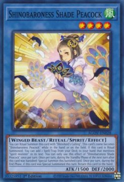 /prodotti/singles/ygo/agov/shinobaroness-shade-peacock_738408.jpg
