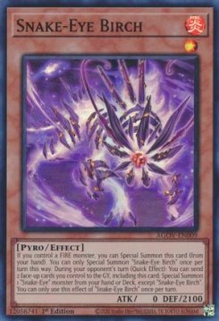 /prodotti/singles/ygo/agov/snake-eye-birch_737466.jpg