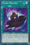 Rilascio Vision