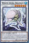 Delfino Aura Bianca