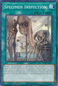 /prodotti/singles/ygo/blc1/specimen-inspection_756144.jpg