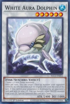 /prodotti/singles/ygo/blc1/white-aura-dolphin_756060.jpg