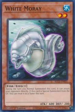 /prodotti/singles/ygo/blc1/white-moray_756059.jpg