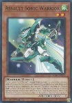 Assault Sonic Warrior
