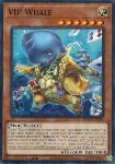VIP Whale