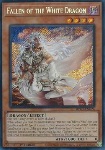 Fallen of the White Dragon