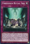 Forbidden Ritual Art