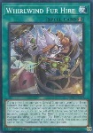 Whirlwind Fur Hire
