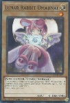 Coniglio Lunare Omajinai