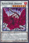 Drago Rosa Nera