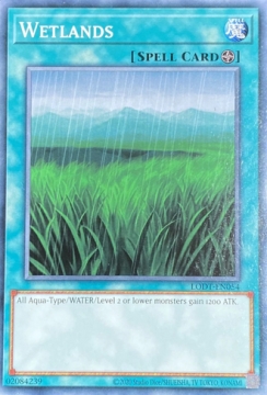 /prodotti/singles/ygo/lodt/wetlands_782124.jpg