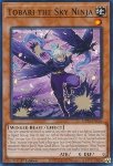 Tobari il Ninja del Cielo