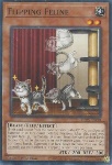 Ribaltamento Felino
