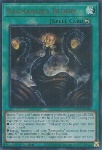 Fioritura Ragnaraika