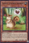 Sloppy Stasher Squirrel