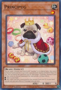 /prodotti/singles/ygo/phni/principug_753960.jpg